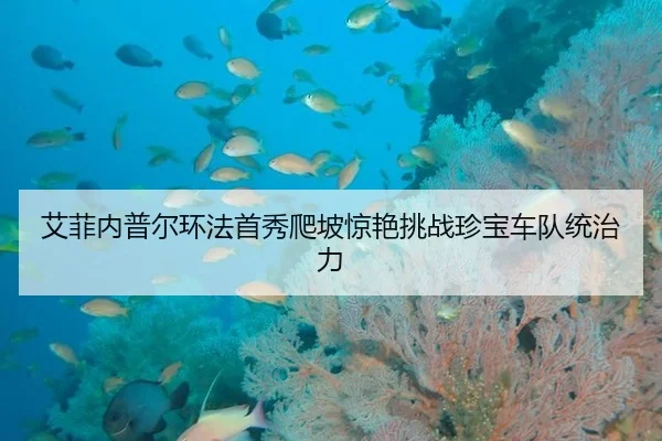ai-fei-nei-pu-er-huan-fa-shou-xiu-pa-po-jing-yan-tiao-zhan-zhen-bao-che-dui-tong-zhi-li-2-995.jpg