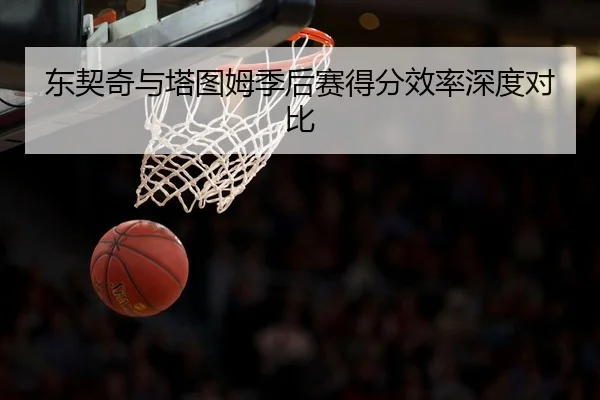 东契奇与塔图姆季后赛得分效率深度对比