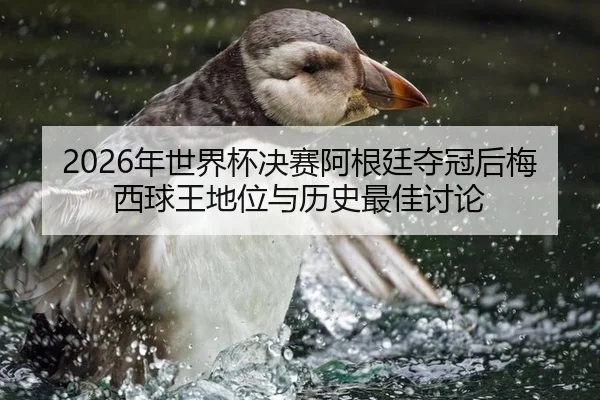 nian-shi-jie-bei-jue-sai-a-gen-ting-duo-guan-hou-mei-xi-qiu-wang-di-wei-yu-li-shi-zui-jia-tao-lun-3-534.jpg